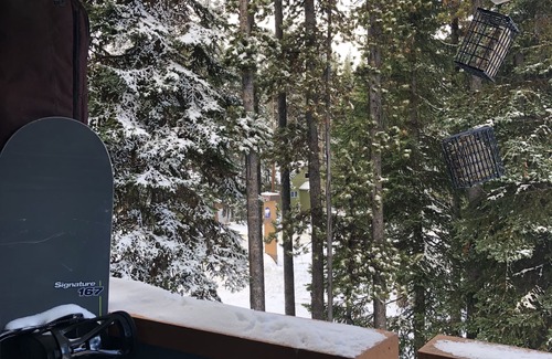Okanagan-Similkameen Condo | APEXICO2 - Two bedroom condo at Apex Mountain in Strayhorse Condo building