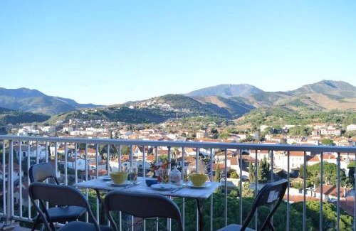 Banyuls-sur-Mer Apartment | Appart Studio cabine 4 couchages BANYULS SUR MER BN130-C117