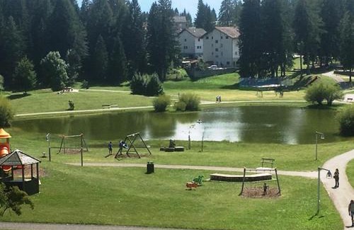 Lavarone Apartment | Appartamento Dalma Foresta