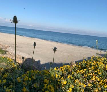 Sant'Ilario dello Ionio Apartment | Appartamento Fronte Mare Rosa 2