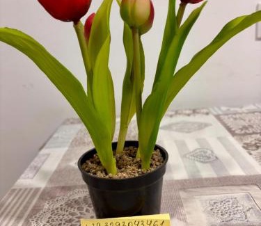 Cadorago Apartment | Appartamento Incantevole Cadorago