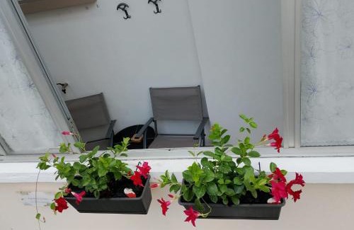 Castiglione Olona Apartment | Appartamento Orchidea