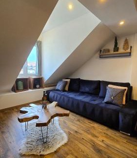 Sallanches Apartment | Appartement atypique au cœur de Sallanches