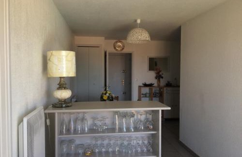 Argeles Plage Apartment | APPARTEMENT AVEC PISCINE