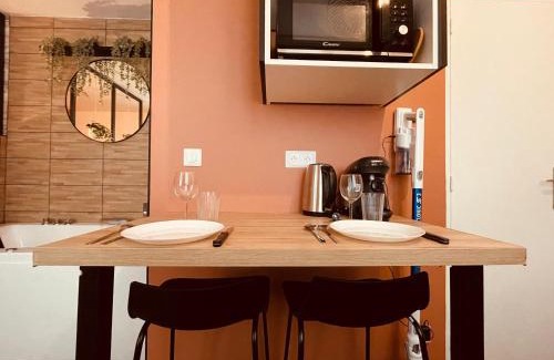 Centre Ville Rive Gauche Apartment | Appartement Balneo The Notebook -303