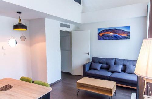 Les Grands Carmes Apartment | APPARTEMENT HAUSSMANNIEN TYPE LOFT, CLIMATISE - VIEUX-PORT-LE PANIER,