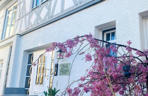Hoehr-Grenzhausen Apartment | Appartement Lilie - 2-bettwohnung - Apartments im Château D'esprit