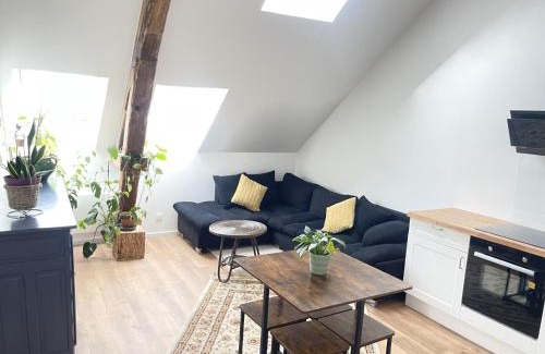 Egreville Apartment | appartement poutrelle