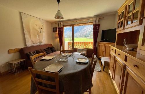 Samoens Apartment | Appartement T2 calme avec balcon, proche ski-bus et village - FR-1-624-37