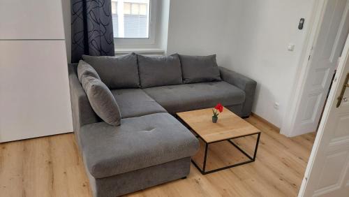 Innere Stadt Apartment | Appartement Top 4 - Premium