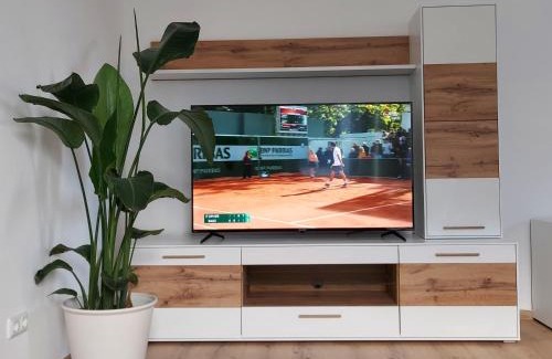 Innere Stadt Apartment | Appartement Top 4 - Premium