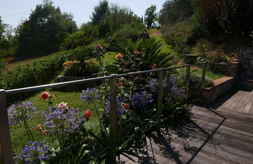 Capannori Apartment | Appartement with pool, located between olive treees and wine rapes