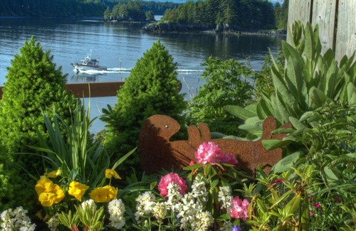 Kodiak Apartment | Apt-suite on the ocean in Kodiak, Alaska-Gardens, boats, eagles-Since 2008