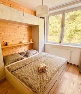Borovany Apartment | #Apt23 - Apartmán 23 - Novohradské hory