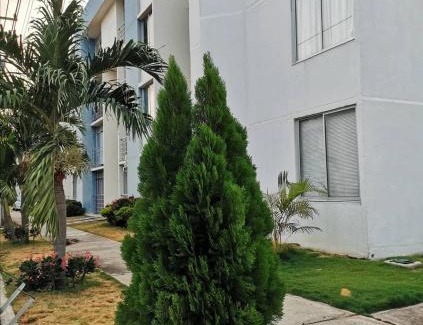 Valledupar Apartment | Apto San Francisco de Asis