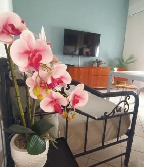Pescara Apartment | Arapietra Home