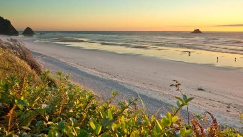 Arch Cape House | Arch Cape Escape by AvantStay Sensational Clift Top Home w Pacific Ocean Views