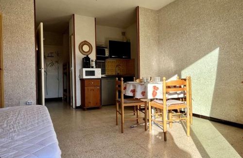 Argeles Plage Apartment | Argelès-sur-Mer : Studio cabine avec terrasse, proche plage et commerces, parfait pour famille - FR-1-225-637