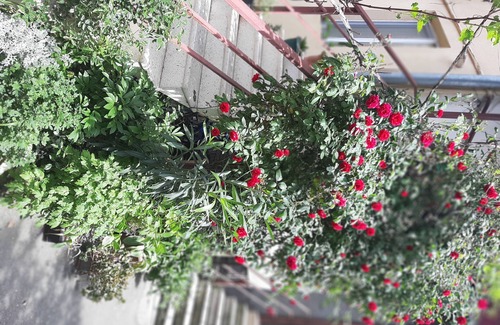 Didube Apartment | Aria Tbilisi apartment