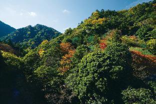 Kita Ward Hotel | Arima Onsen Gekkoen Korokan