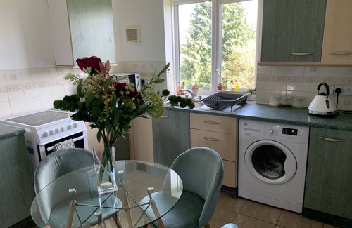 Kingsnorth Apartment | Ashforfd Hide Out