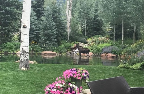 Aspen House | Aspen Oasis on the River
