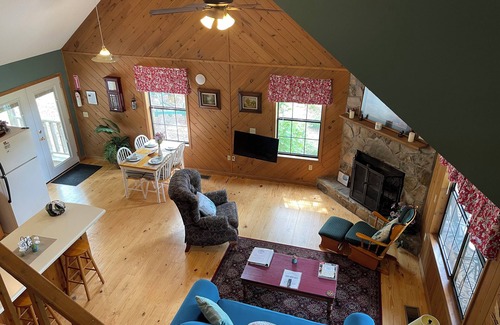 Hiawassee Cabin | Aster Cabin - Beautiful Mountain View, Rustic Charm w/Jacuzzi & Wood Fireplace