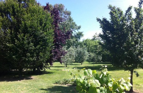 Lucca House | At 5 minutes from the Walls of Lucca and 10 from historic villas, the house is part of an ancient court completely renovated with courtyard, large garden