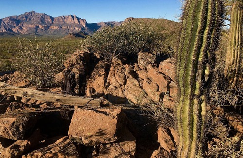 Entrada Del Oro House | AT THE BASE OF THE SUPERSTITION MOUNTAINS. 3-6 MONTH MINIMUM STAY