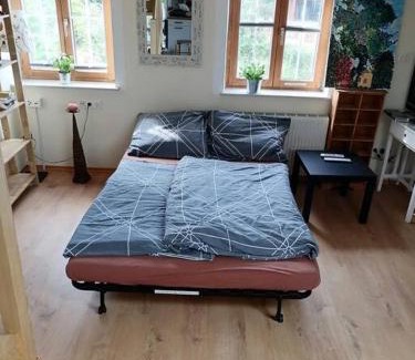 Ternitz Apartment | Atelieo beim Nussbaum