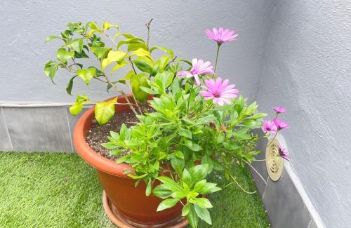 Gijon City Centre Apartment | Atico Cué, Parking gratuito