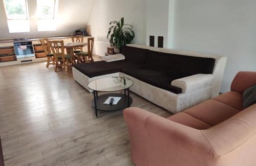 Piestany Apartment | Attic Parkview Apartment