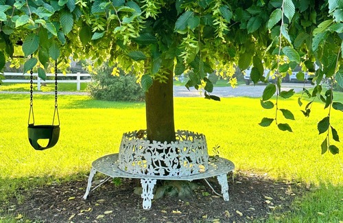 Oberlin Cottage | Aunt Connie's Cottage