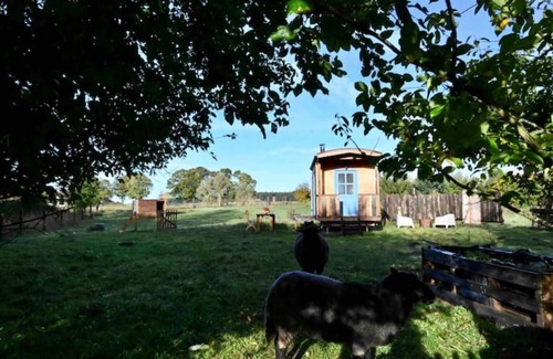 Dargun Cabin | Autarker Schäferwagen mit Kamin Ganzjährig Nutzbar