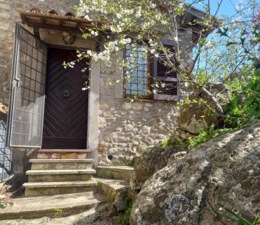 Tolfa Apartment | Autenticum Agriturismo Tolfa