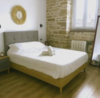 1st Arrondissement Apartment | Authentic charm Quartier Burdeau Lyon 1st