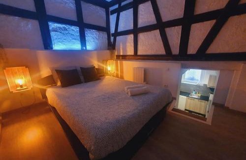 Selestat Apartment | Aux Plaisirs d'Alsace Centre Historique