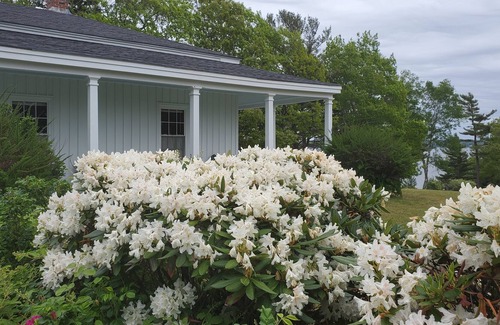Stockton Springs Cottage | Availability in Early September! Spacious waterfront cottage! 5 Bedrooms!