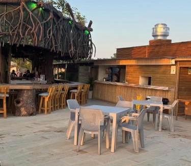 Tolu Apartment | Aves de Laguna Beach