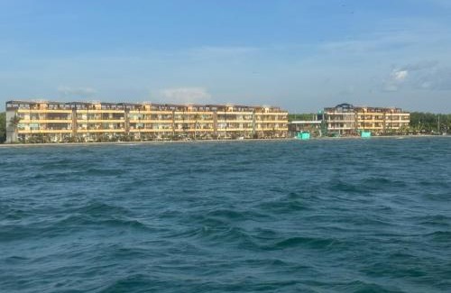 Tolu Apartment | Aves de Laguna Beach