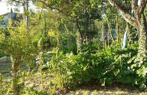 Les Angles House | Avignon, FR (84000), contemporary villa on the heights of Avignon, Les Angles