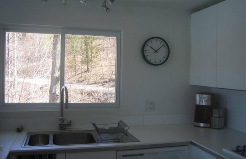 Frontenac Cottage | Awesome Lakefront:2 br modern, c/a, frplace, view