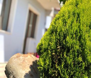 Sinop House | Aydın Apart Pansiyon