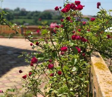 Sinop House | Aydın Apart Pansiyon