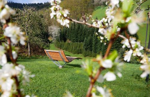 Bad Peterstal-Griesbach House | Bühlbauernhof