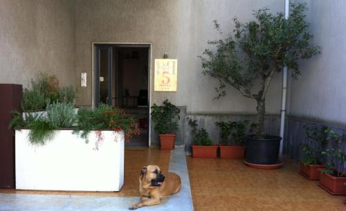 Belpasso House | B&B 5 Sensi
