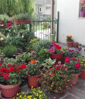 Castelsaraceno Bed & Breakfast | B&B A casa di Carla