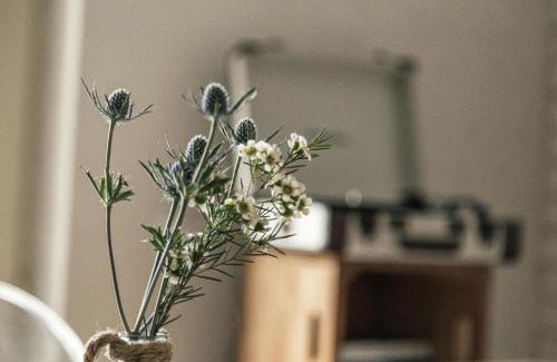 Baunei Bed & Breakfast | B&B I Cinque Mori