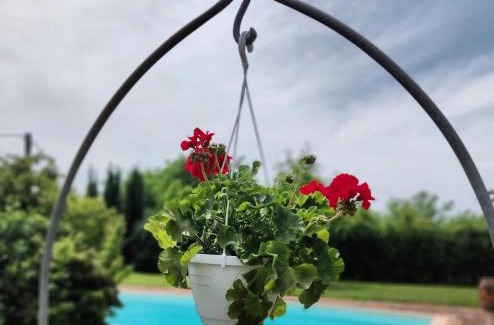 Santa Maria a Monte Bed & Breakfast | B&B Il Casolare Di Bonci