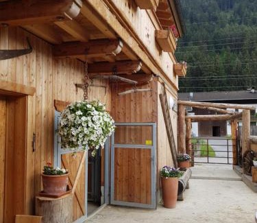 Silz Bed & Breakfast | B&B Margit's Ranch Urlaub am Pferdehof